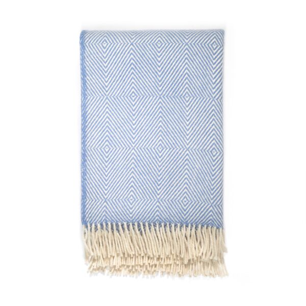 ECOLÃ LOSA BLUE bordaleiros vilnos pledas