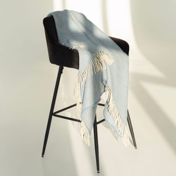 ECOLÃ LOSA BLUE bordaleiros vilnos pledas