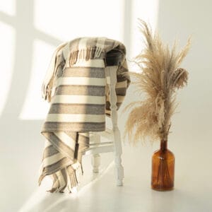 ECOLÃ TRICOLOR LIGHT STRIPES bordaleiros vilnos pledas